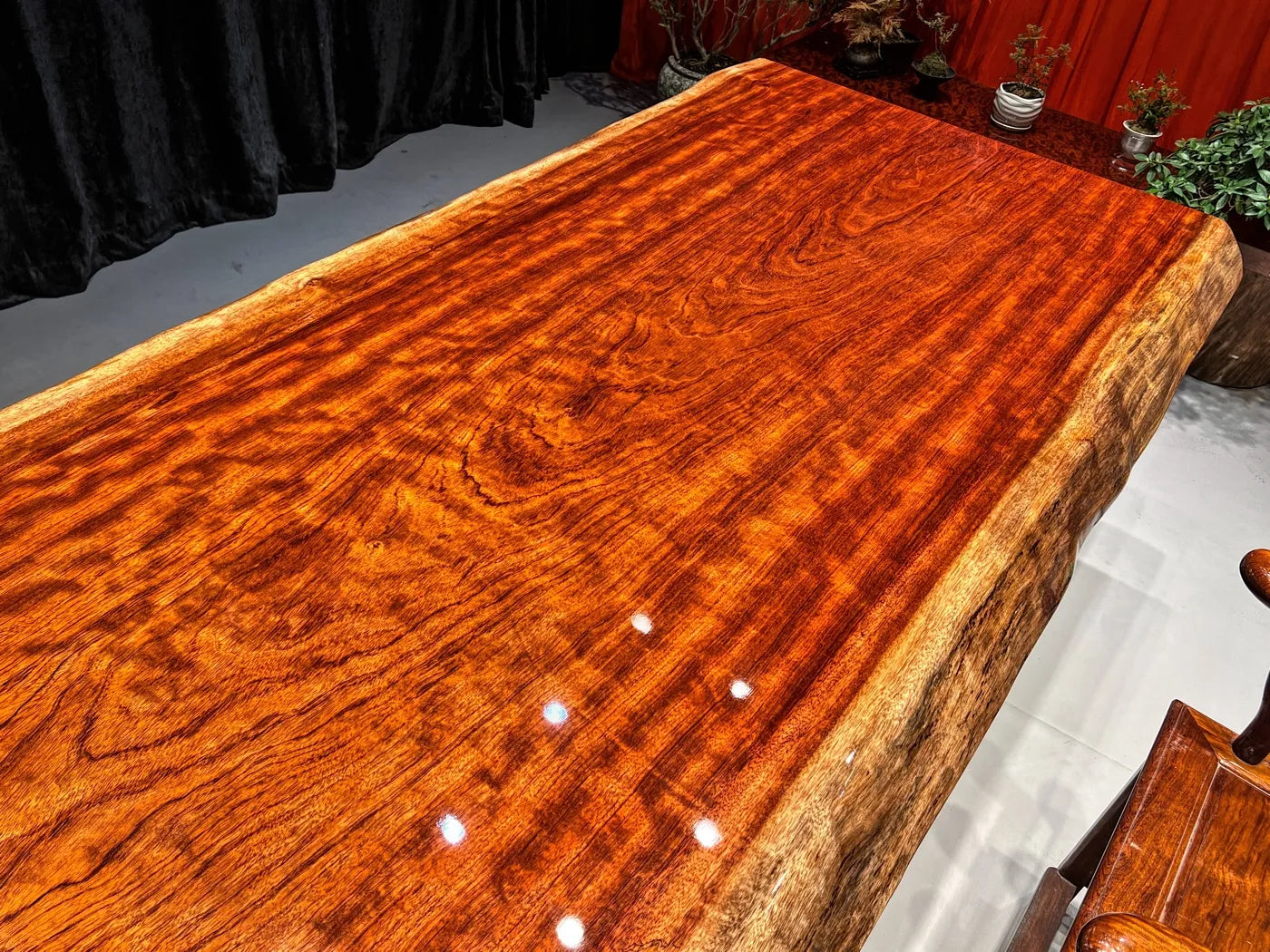 Exquisite Flame Grain Bubinga Live Edge Wood Slab Tabletop - Premium African Rosewood (Top Only)