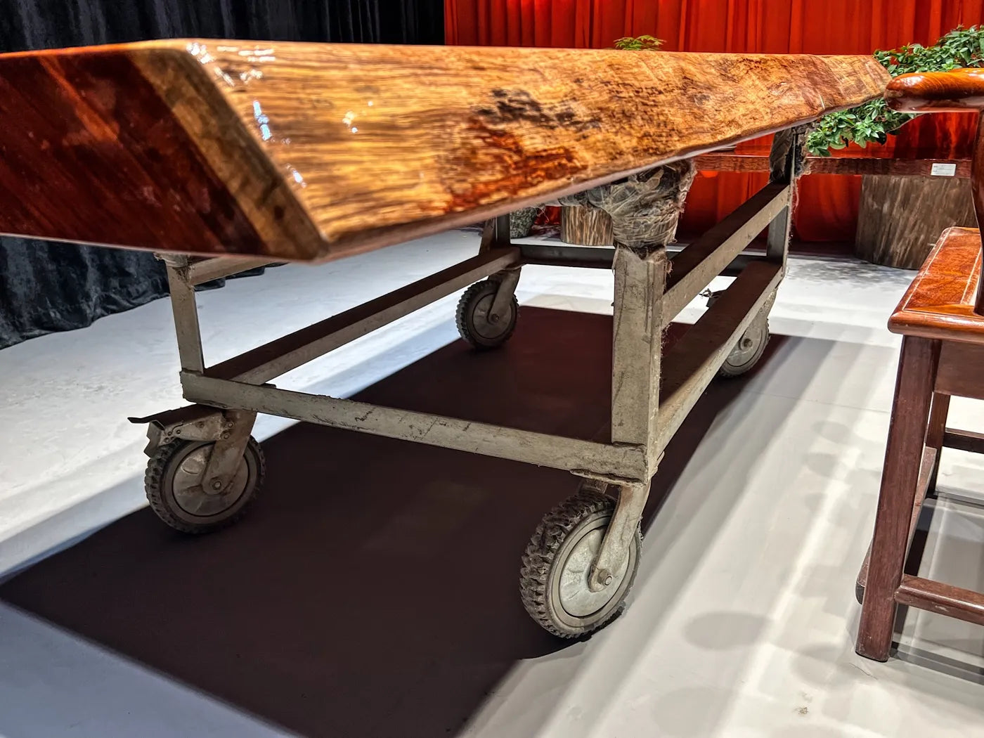 Exquisite Flame Grain Bubinga Live Edge Wood Slab Tabletop - Premium African Rosewood (Top Only)