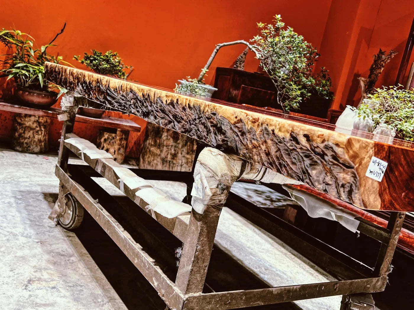 Luxury Figured Bubinga Live Edge Slab Tabletop - Rare Wave Grain Solid Wood (Top Only)
