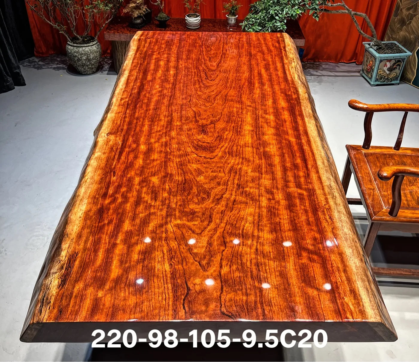 Exquisite Flame Grain Bubinga Live Edge Wood Slab Tabletop - Premium African Rosewood (Top Only)