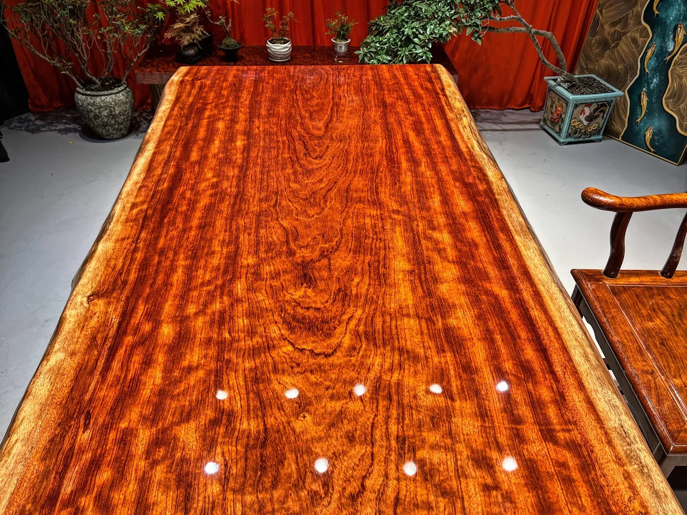Exquisite Flame Grain Bubinga Live Edge Wood Slab Tabletop - Premium African Rosewood (Top Only)